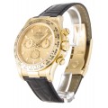 Rolex Daytona Champagne Dial 116518